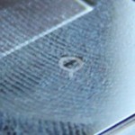 trophysearchbutton_thumb