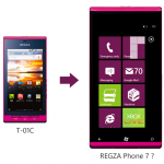 fakeregzaphone71