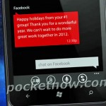 Nokia Lumia 900 Ace (3)