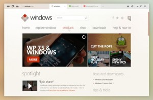 Windows Internet Explorer 10