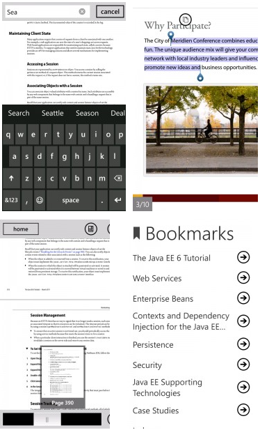 Adobe Reader 10.1
