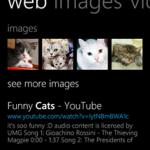 Bing Suche Windows Phone 8 - Websuche