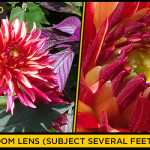 perf-zoomed-lumia-1020-s4-zoom