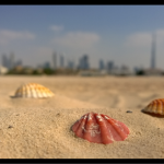 Nokia Refocus App