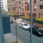 Foto mit Lumia 625 (13)