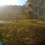 Nokia Lumia 625 - Gegenlicht
