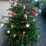 Bei Tageslicht aufgenommen