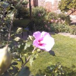 Prestigio_WP_20140526_008