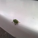 Prestigio_WP_20140526_018