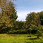 Lumia 830