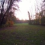 WP_20141123_16_02_12_Pro