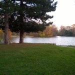 WP_20141123_16_06_06_Pro