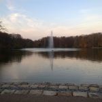 WP_20141123_16_15_07_Pro