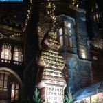 WP_20141206_18_52_16_Pro