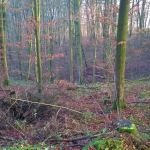 WP_20141226_15_08_30_Pro