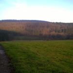 WP_20141226_15_14_40_Pro