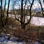 WP_20141228_12_43_03_Pro