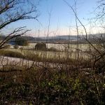 WP_20141228_12_43_37_Pro