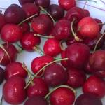 535_Sample_WP_20150612_14_33_11_Pro