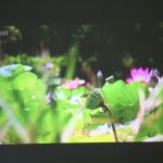 A100W SamplePic9