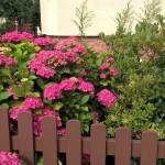 sample_640XL_WP_20150715_09_33_39_Pro