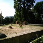 WP_20150726_003
