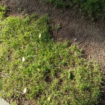 WP_20130527_009