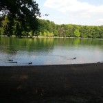 WP_20130527_018