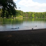 WP_20130527_019