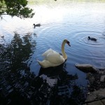 WP_20130527_020