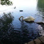 WP_20130527_021