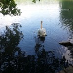 WP_20130527_022