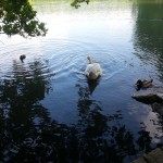 WP_20130527_023